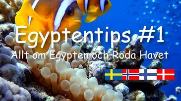 Egypten och Röda Havet