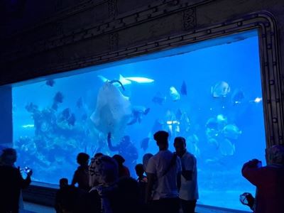 Grand Aquarium